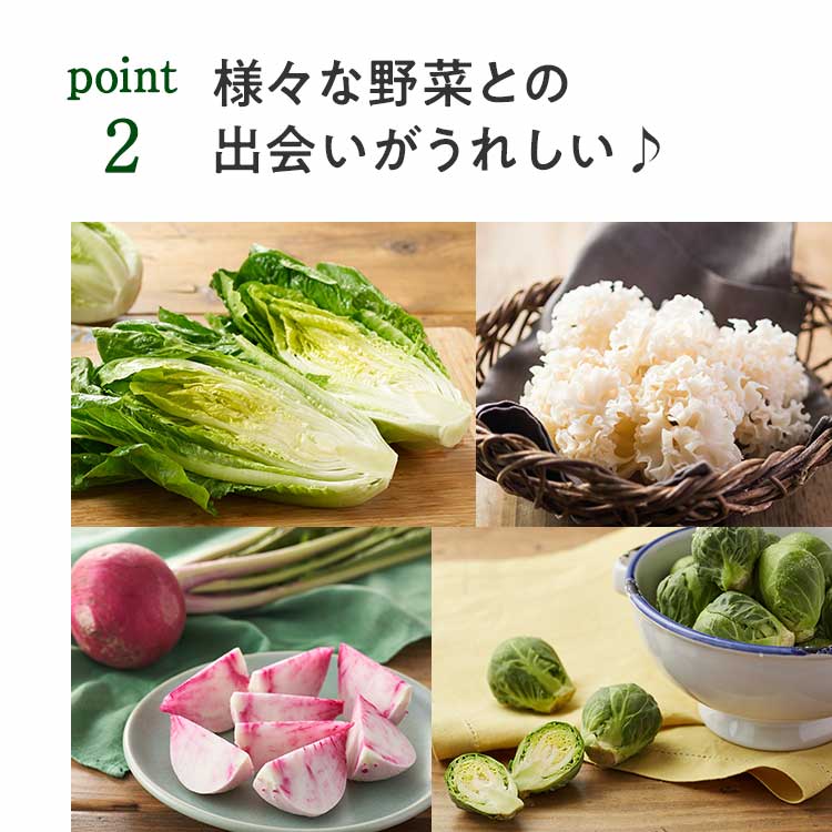 様々な野菜との出会いがうれしい♪