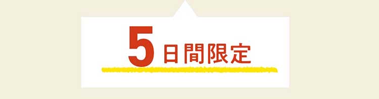 5日間限定