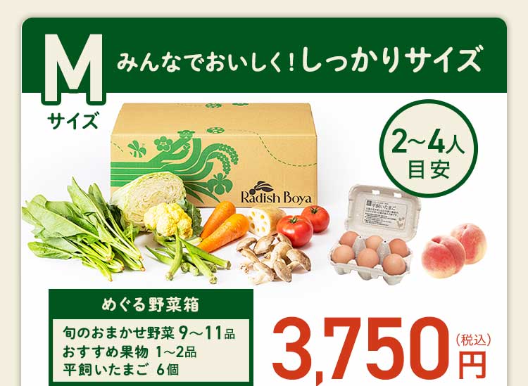 ＜2〜3人分＞みんなでおいしく！しっかりサイズ　コース内容：［野菜BOX］旬の野菜9〜11品、旬の果物1~2品、平飼いたまご6個(通常規格〜ふぞろい含む)