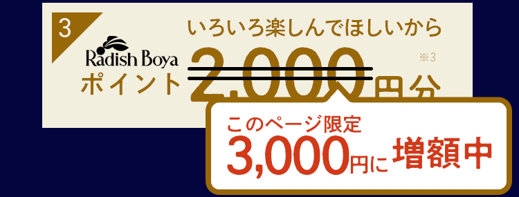 特典3:お買い物ポイント3000円