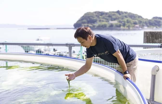 「養殖もの」は責任ある
									養殖業者によるものを