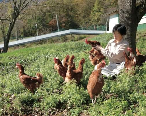 動物の生態に合わせた飼育