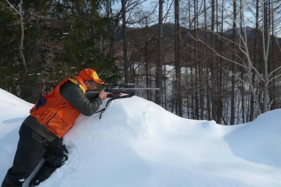 ハンターによる狩猟