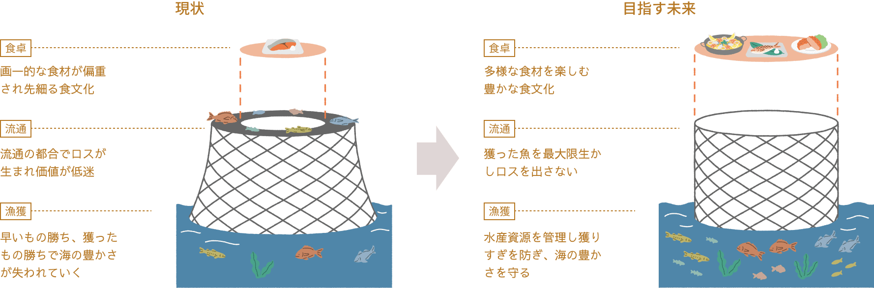 「サステナブルな魚食文化」概念図