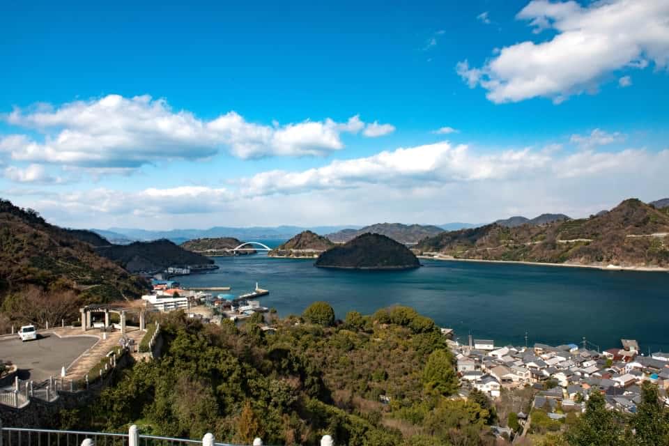 安芸灘とびしま海道。地元の柑橘畑を守り継いでいく活動を続けています。