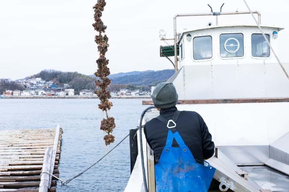 水揚げ後に起こるフードロス