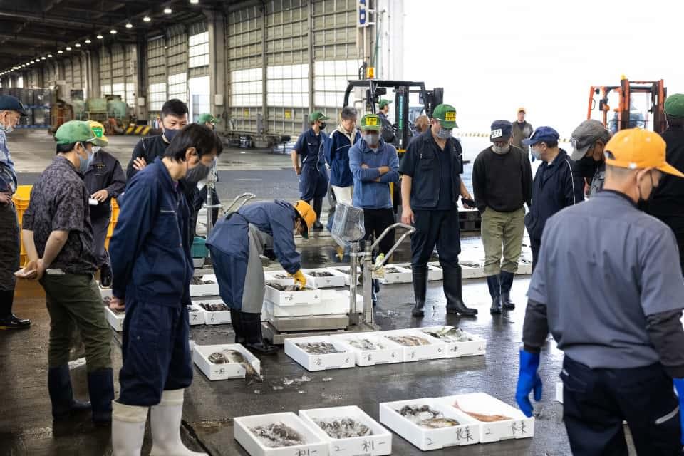 早朝から行われるセリ。港では様々な立場の人が働いている。