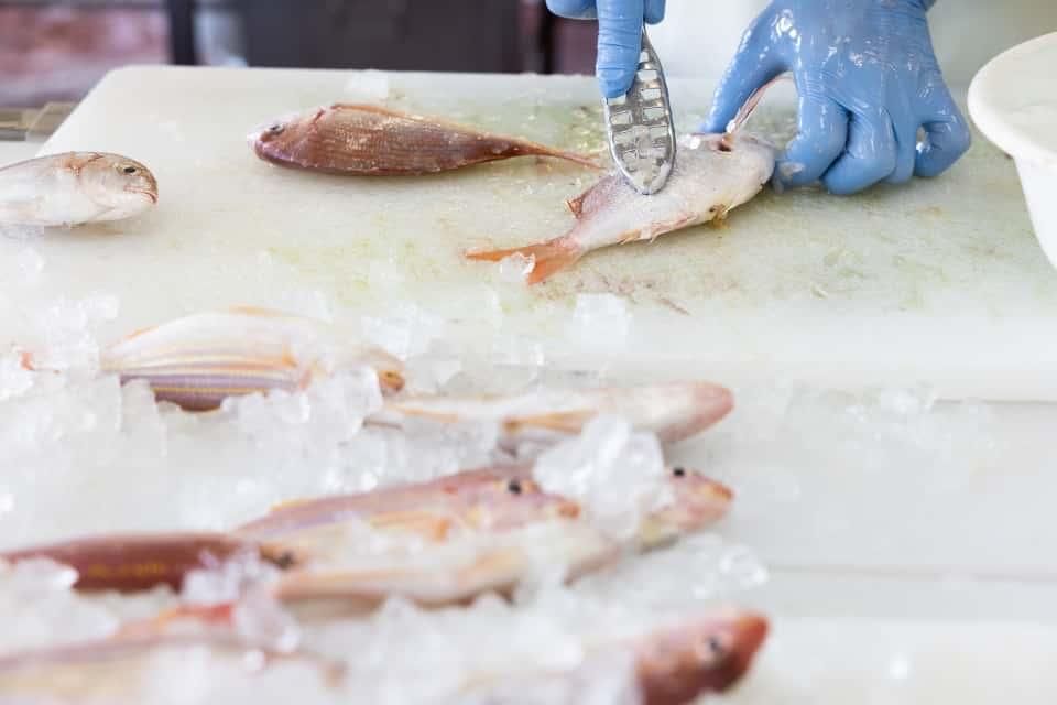 漁獲量減少のグラフデータ