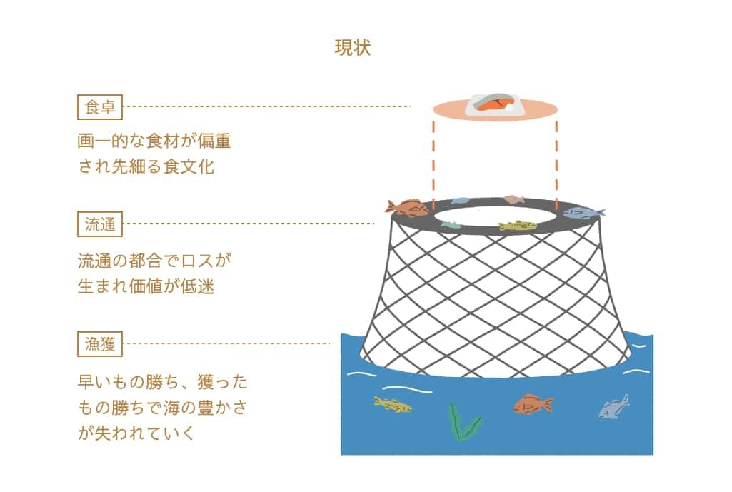 「サステナブルな魚食文化」で海のフードロス削減を目指す