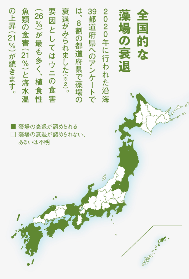 全国的な藻場の衰退についての資料