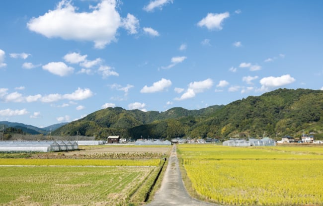 穏やかな藤枝・助宗地区の山々