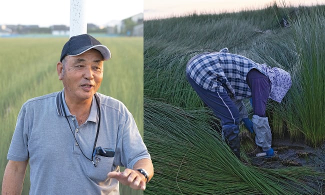 い草農家の林田昌明さん