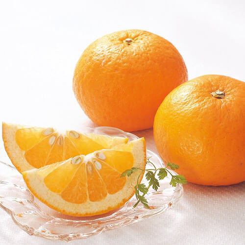 かんきつ類（オレンジ・レモンなど）