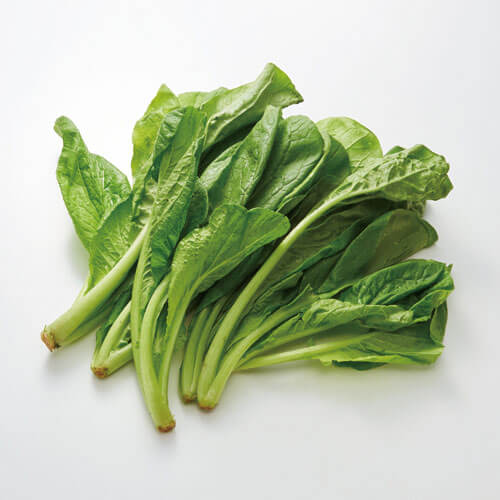 ほうれん草 小松菜 有機 低農薬野菜 無添加食材などの宅配 らでぃっしゅぼーや