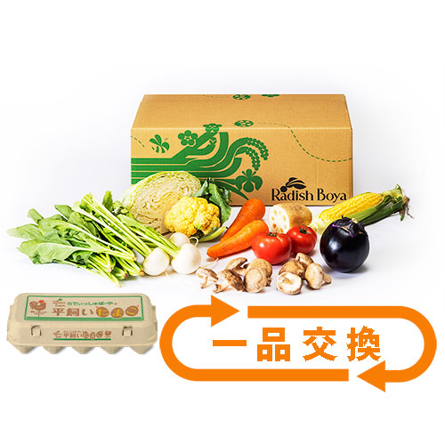 めぐる野菜箱　M・1品交換可・卵10