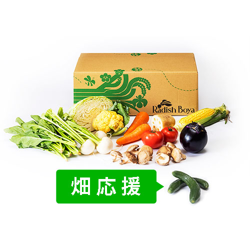 めぐる野菜箱　M・畑応援プラス