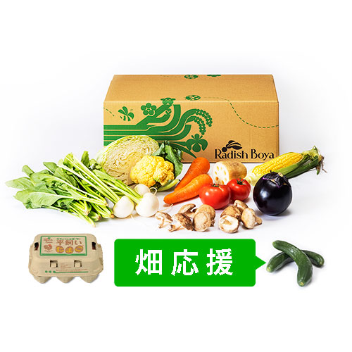 めぐる野菜箱　M・畑応援プラス・卵６