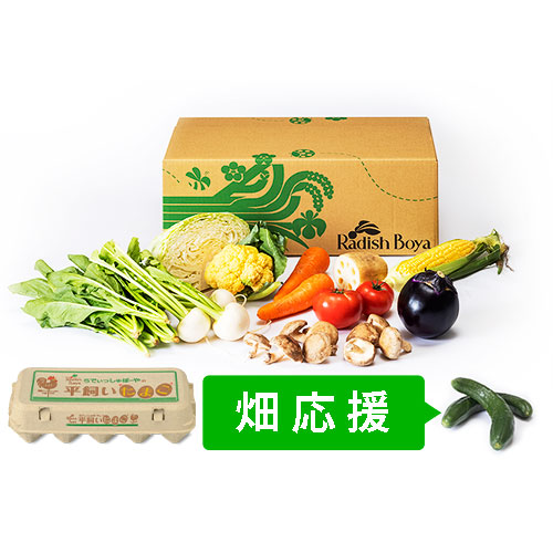 めぐる野菜箱　M・畑応援プラス・卵１０