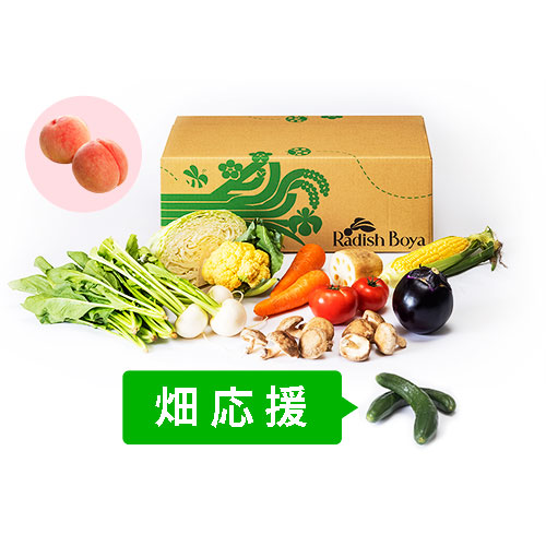 めぐる野菜箱　M・畑応援プラス果物