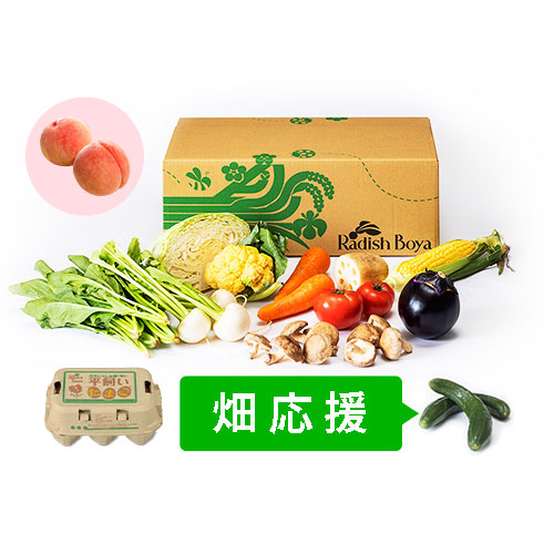 めぐる野菜箱　M・畑応援プラス果物・卵６
