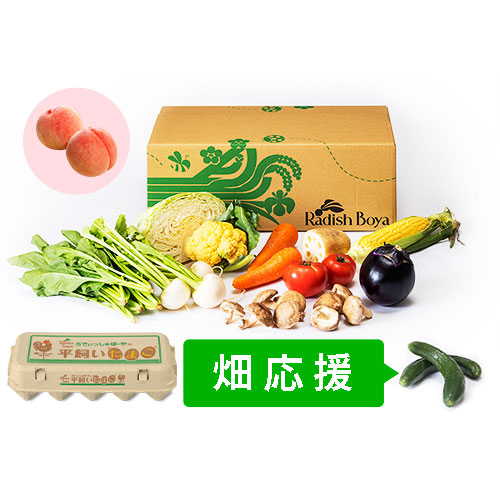めぐる野菜箱　M・畑応援プラス果物・卵１０