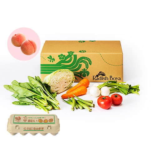 めぐる野菜箱　SS果物・卵10