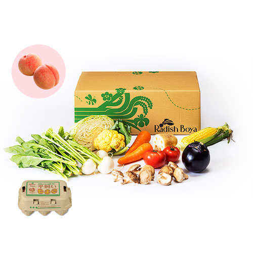めぐる野菜箱　はじめてM果物・卵6