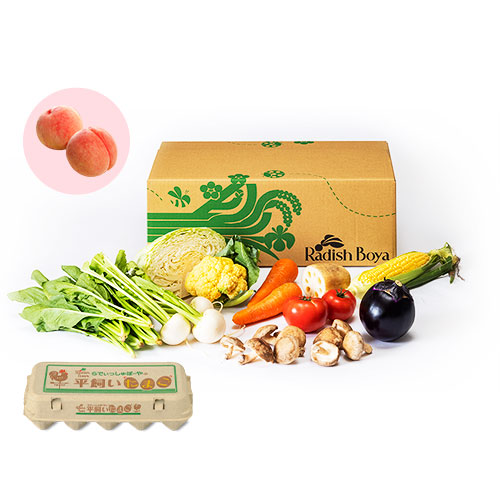 めぐる野菜箱　はじめてM果物・卵10