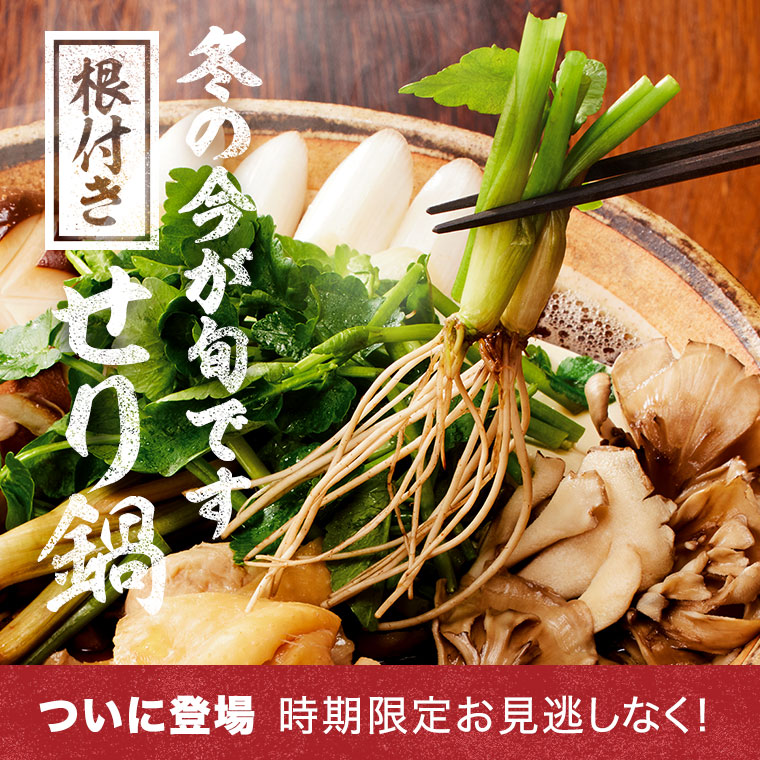 冷凍 じっくり 手揚げ 油揚げ 肉厚ジューシー12×9cmたっぷり 2枚入り 