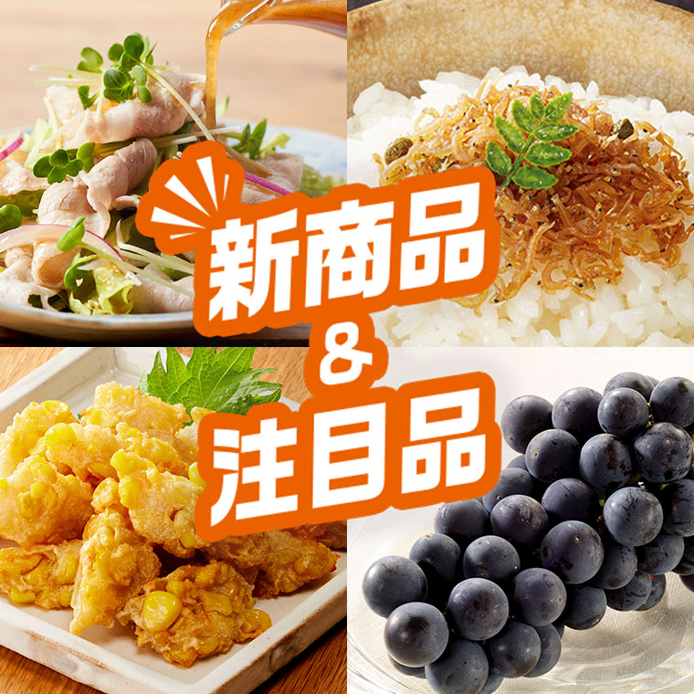 ハンバーグ　野菜付きセット　サンプル品 8210446_0f7cc63edab74c17909d32