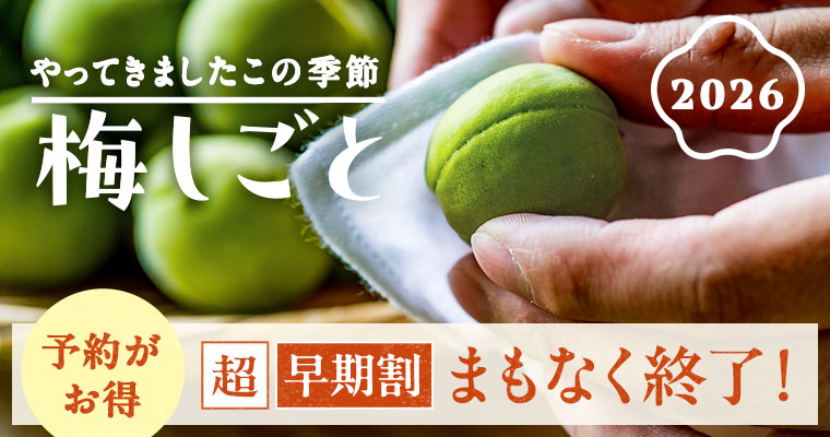 にら2026053週お届け | らでぃっしゅぼーや