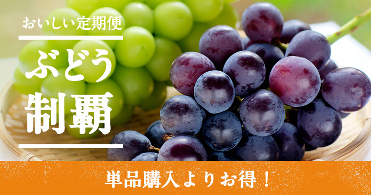 めぐる野菜箱予報 | らでぃっしゅぼーや