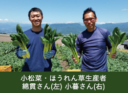 小松菜・ほうれん草生産者　綿貫さん（左）小暮さん（右）