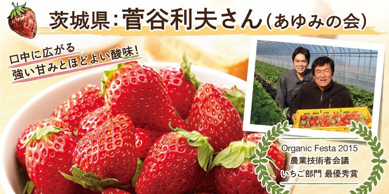 菅谷さんのいちご