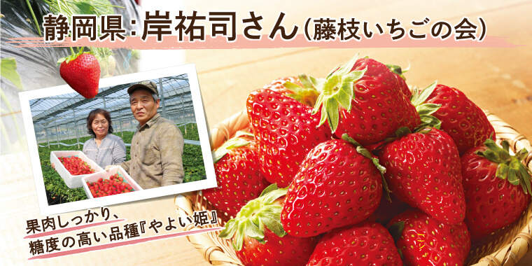 菅谷さんのいちご