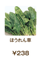 ほうれん草 ¥238