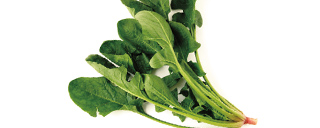 今月のお野菜