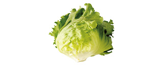 今月のお野菜