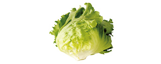 今月のお野菜