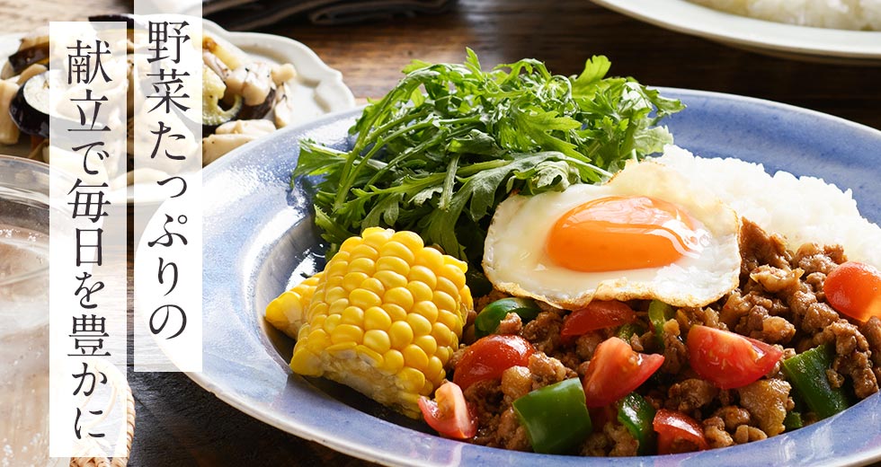 野菜が主役の３日間献立おためしセット