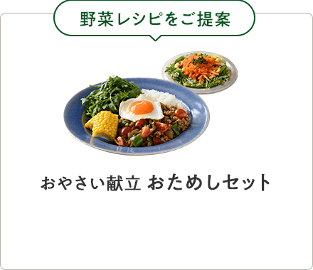 おやさい献立 おためしセット