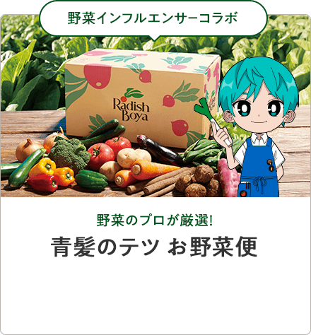 野菜インフルエンサーコラボ 野菜のプロが厳選！青髪のテツお野菜便