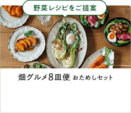 畑グルメ8皿便 おためしセット