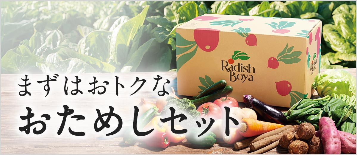 まずはお得なおためしセット