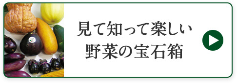 見て知って楽しい野菜の宝箱