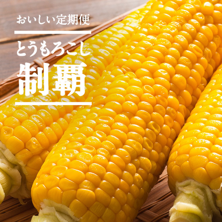とうもろこし制覇