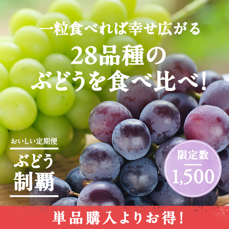 ぶどう制覇