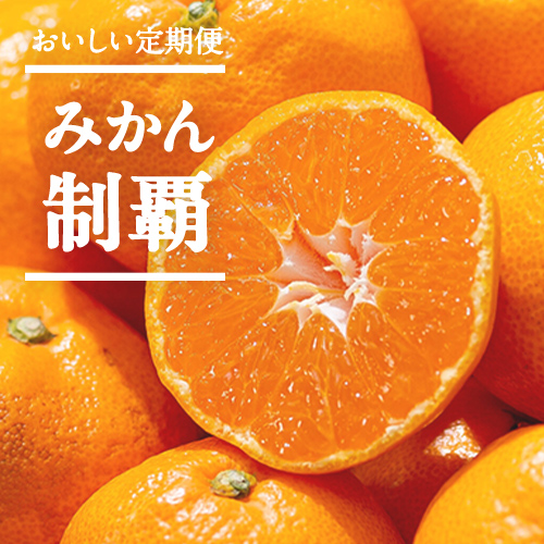 みかん制覇
