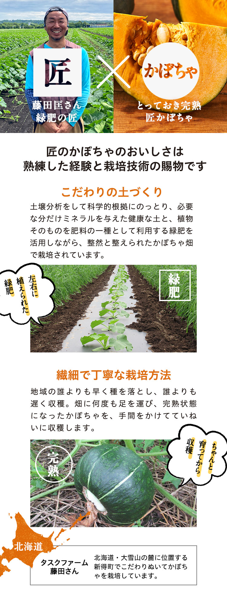 匠のかぼちゃ制覇 | らでぃっしゅぼーや 有機野菜・無添加食材の宅配