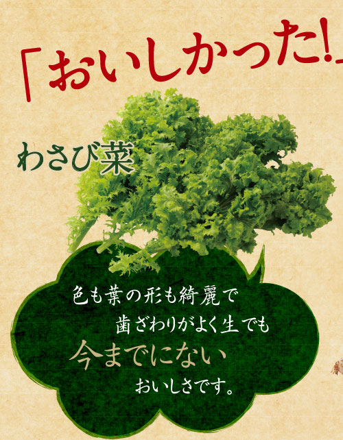 おいしかったわさび菜　色も葉の形も綺麗で歯ざわりがよく菜までも今までにないおいしさです。